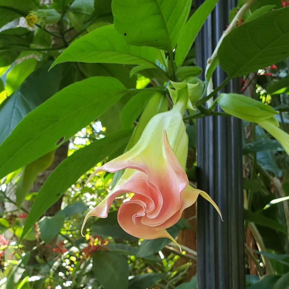 Meet your Posher, Posh